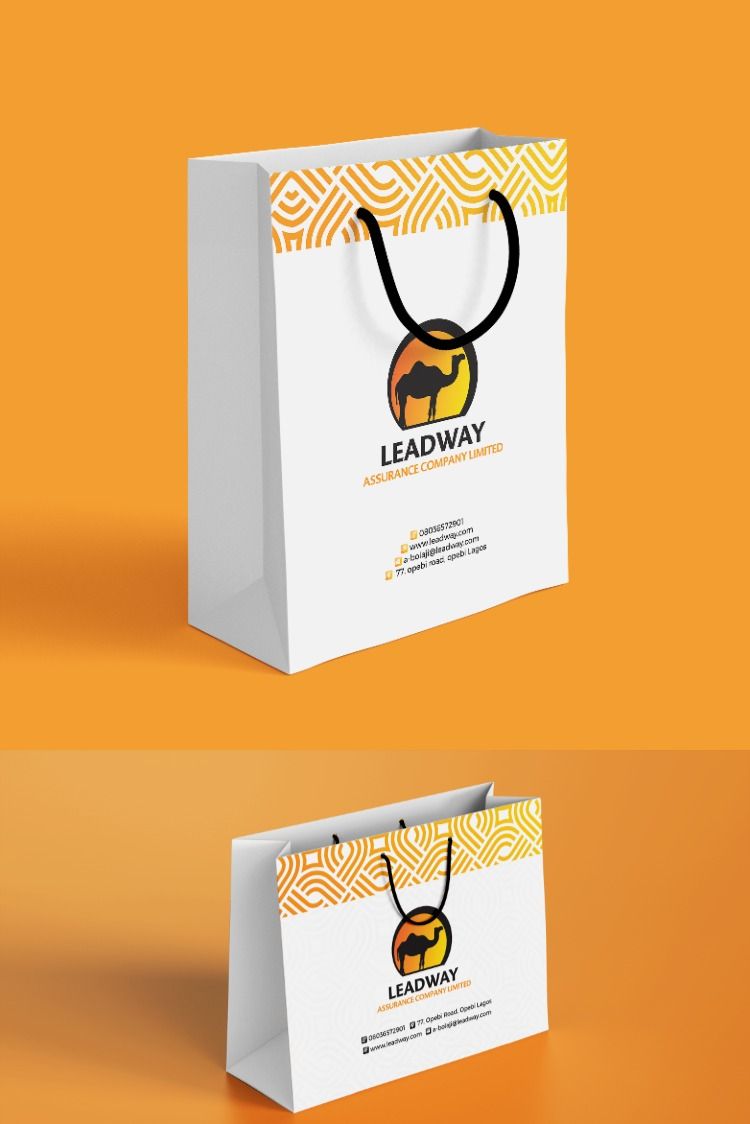 Mifuko migumu ya "Gift bags" tunauza na kuweka nembo yako (FULL COLOR) 2